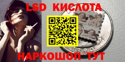 шишки Бузулук