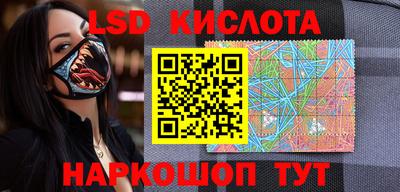 Альфа ПВП Будённовск