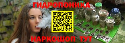 Альфа ПВП Будённовск