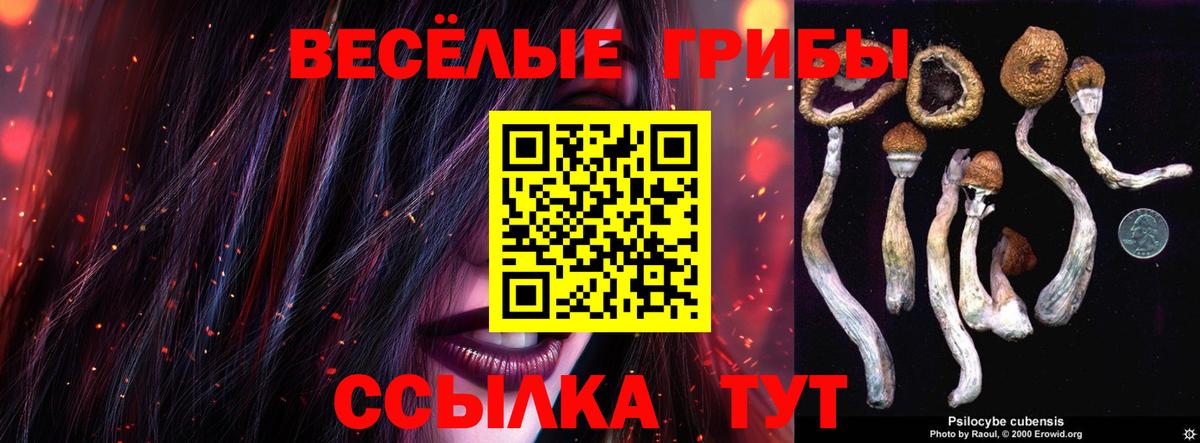 Майкоп  Псилоцибиновые грибы MAGIC MUSHROOMS  Вход с VPN  Галлюциногенные грибы мицелий 